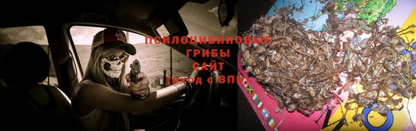 эйфоретик Вязьма
