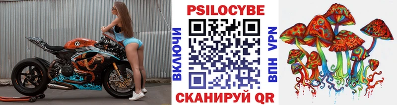 Галлюциногенные грибы прущие грибы  МЕГА зеркало  Жердевка 